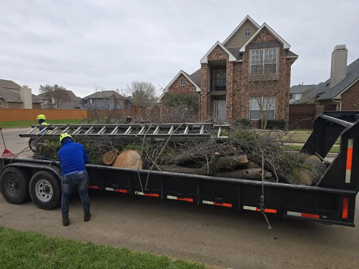 Expert Tree Removal with proper safety equipment in Sheffield Lake